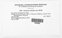 Image Associated With the Occurence